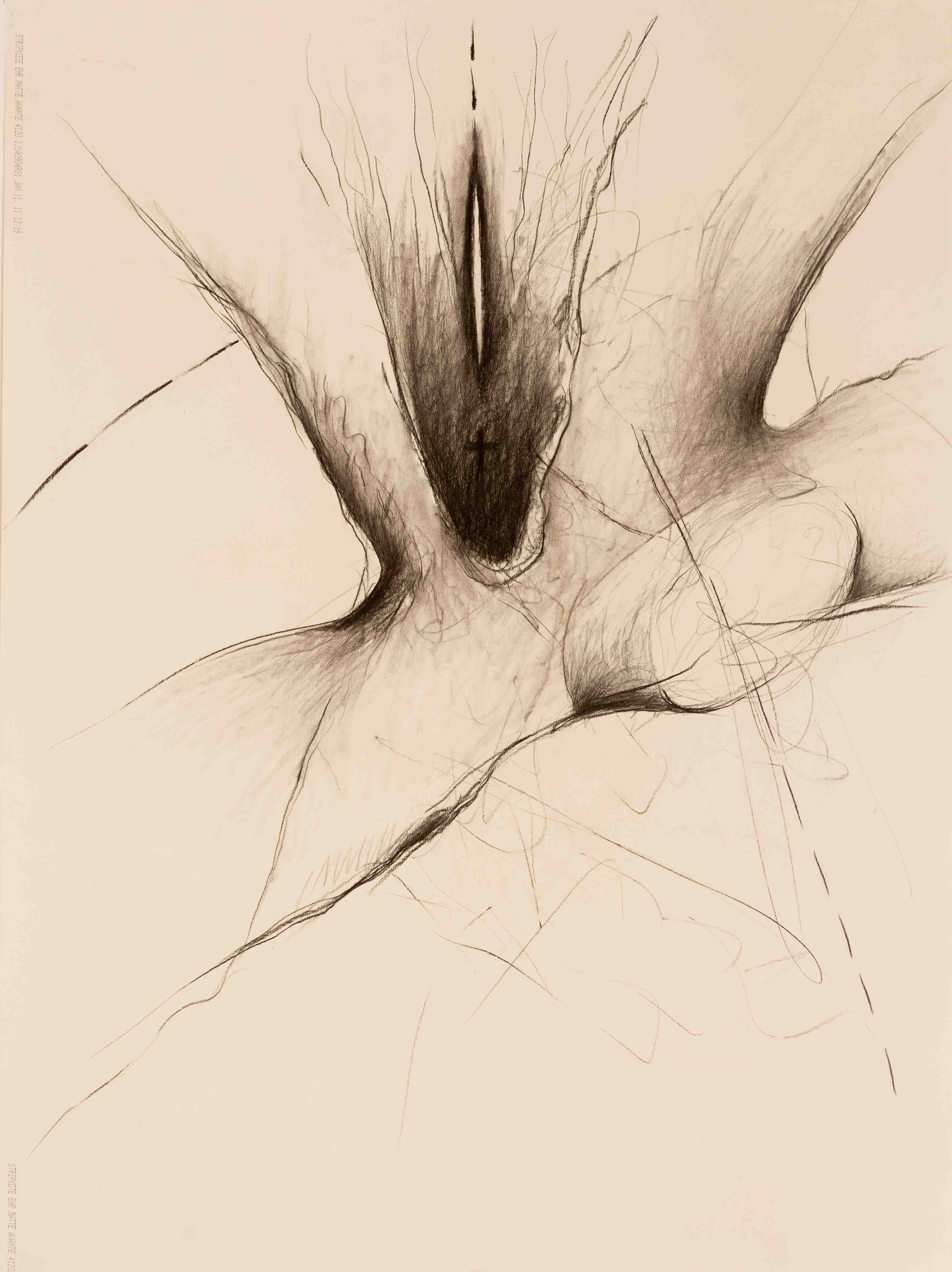 Dibujo 3