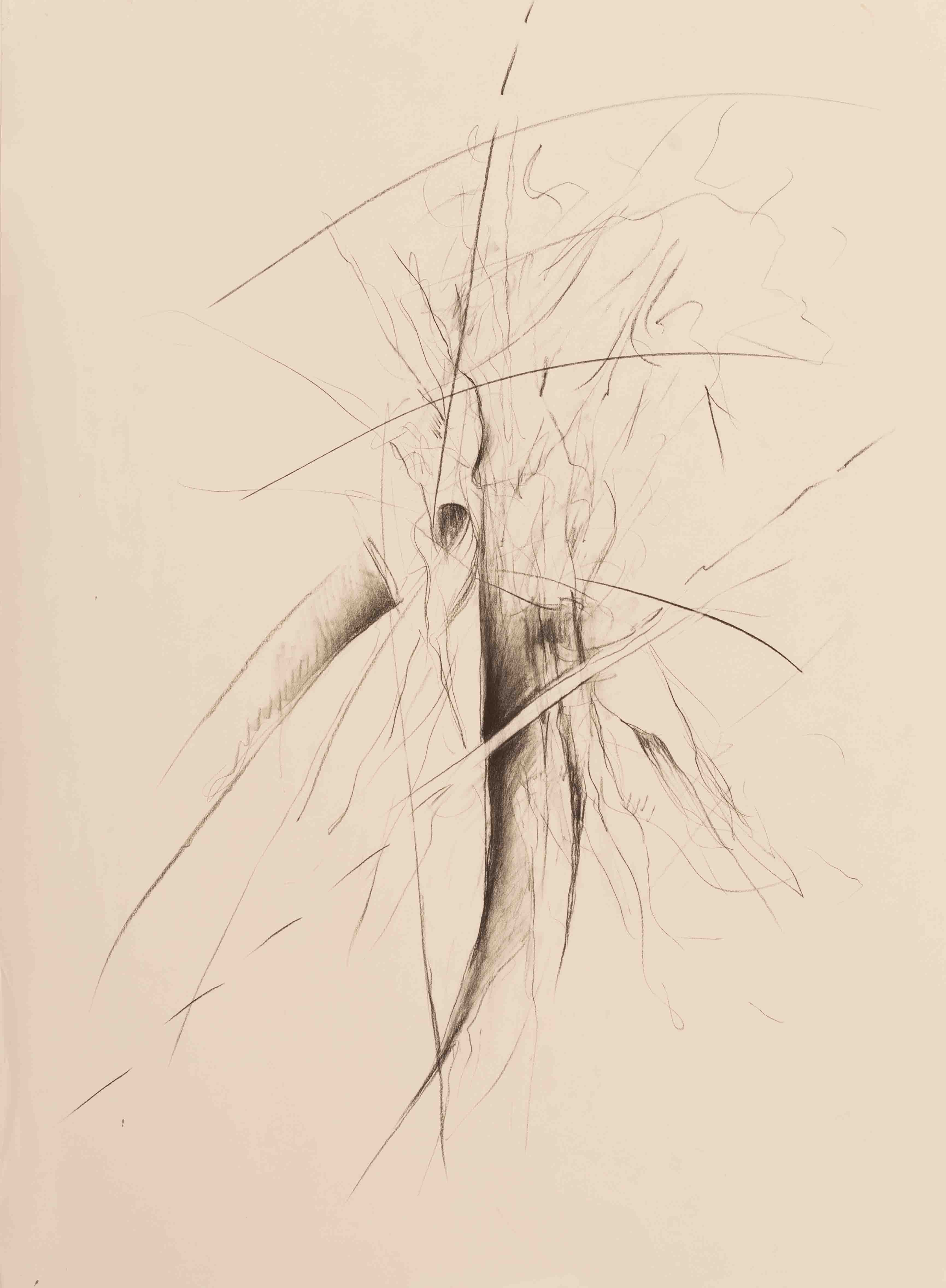 Dibujo 4