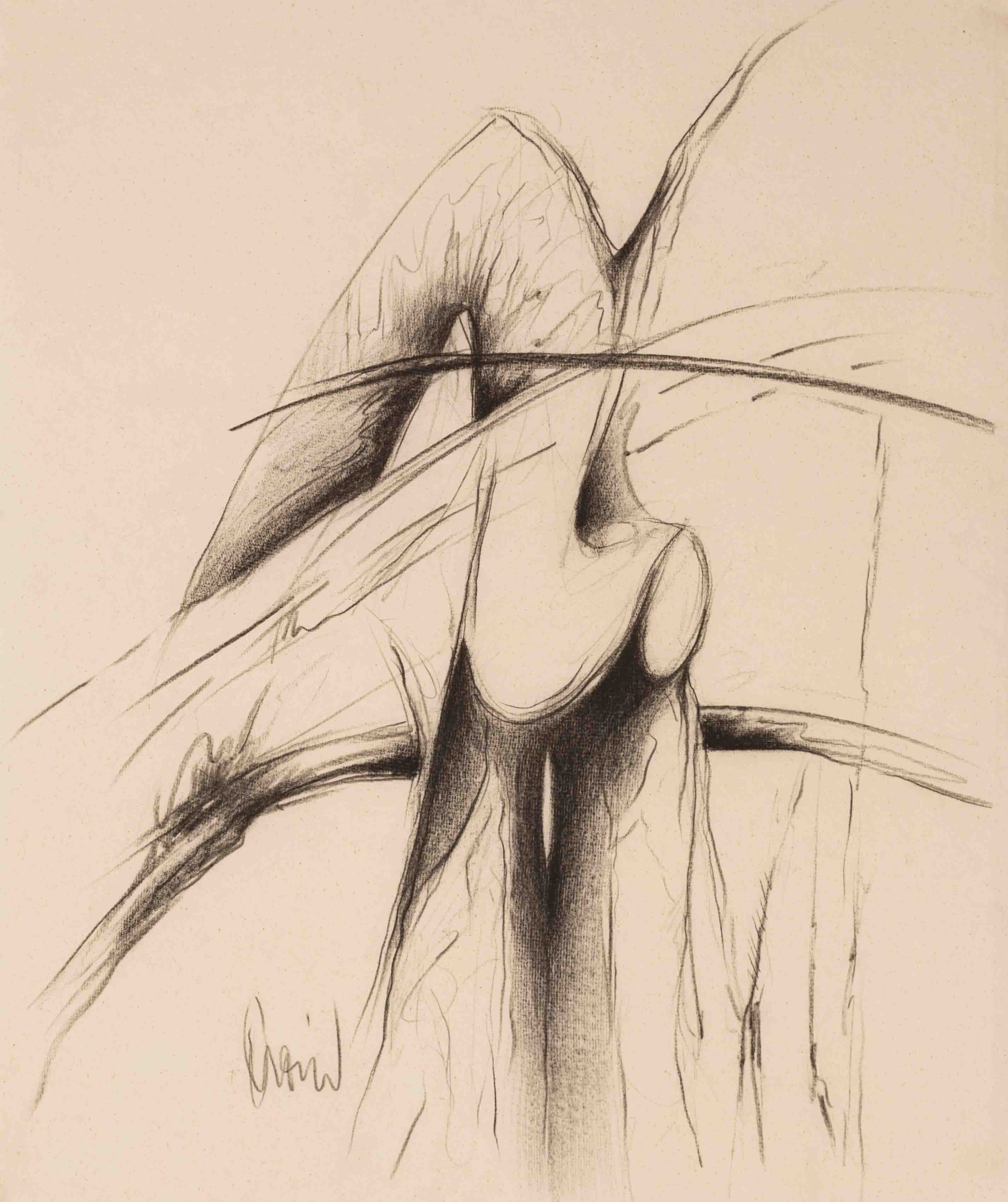 Dibujo 5