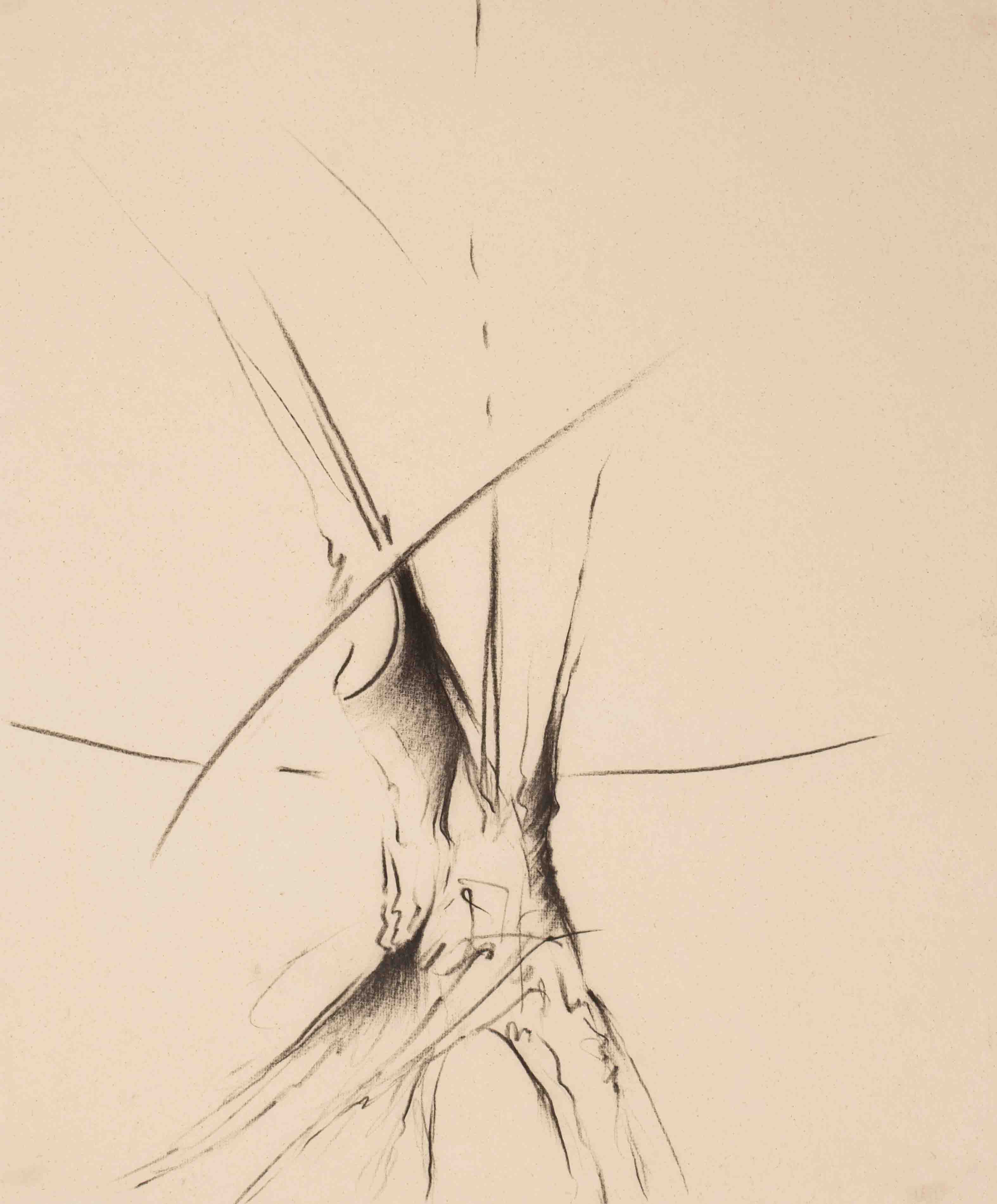 Dibujo 6